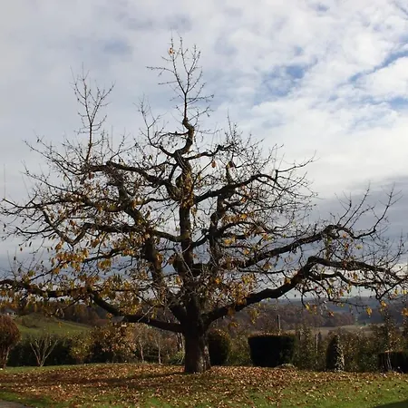 2-zimmer Obstgarten * Sankt Stefan im Rosental