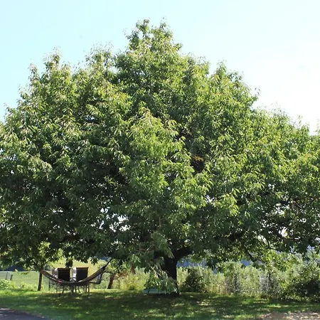 2-zimmer Obstgarten Apartamento Sankt Stefan im Rosental