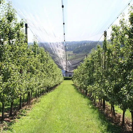 2-zimmer Obstgarten * Sankt Stefan im Rosental