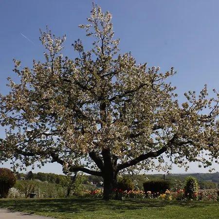 Lejlighed 2-zimmer Obstgarten *
